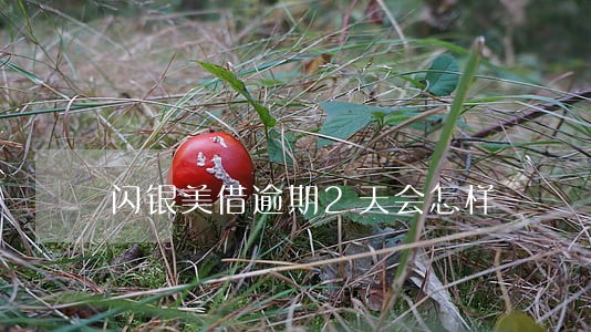 闪银美借逾期2天会怎样 闪银美借逾期2天会怎样