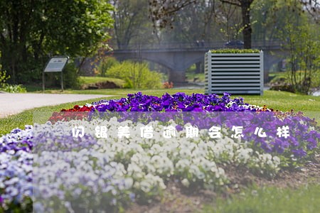 闪银美借逾期会怎么样 闪银美借逾期会怎么样