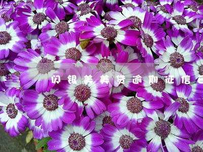 闪银美美贷逾期征信已结清 闪银美美贷逾期征信已结清