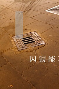 闪银能不能只还本金 闪银能不能只还本金