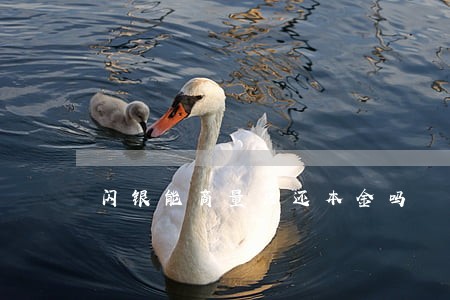 闪银能商量只还本金吗