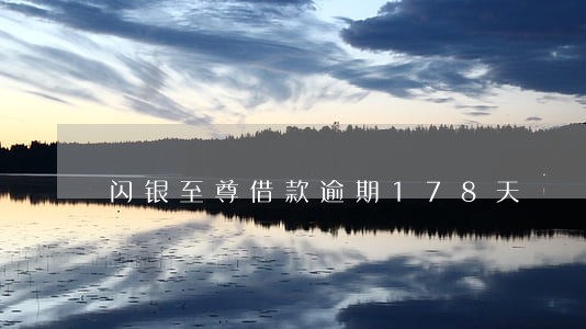 闪银至尊借款逾期178天 闪银至尊借款逾期178天