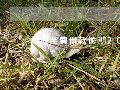 闪银至尊借款逾期20天 闪银至尊借款逾期20天