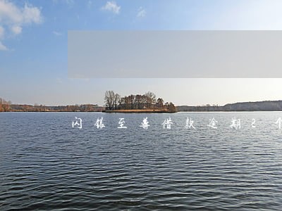 闪银至尊借款逾期2个月 闪银至尊借款逾期2个月
