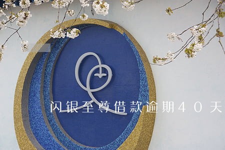 闪银至尊借款逾期40天 闪银至尊借款逾期40天