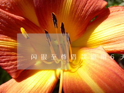 闪银至尊借款逾期6天 闪银至尊借款逾期6天