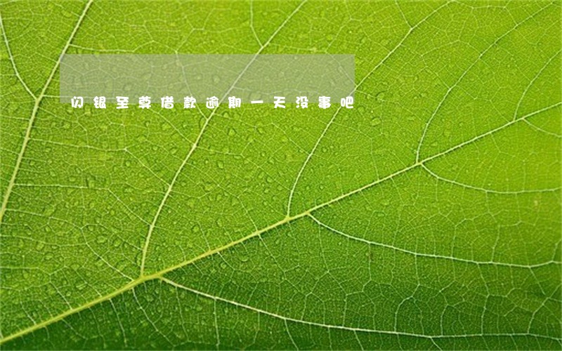 闪银至尊借款逾期一天没事吧 闪银至尊借款逾期一天没事吧
