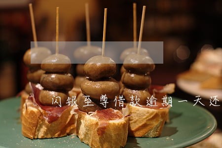闪银至尊借款逾期一天还能借吗 闪银至尊借款逾期一天还能借吗