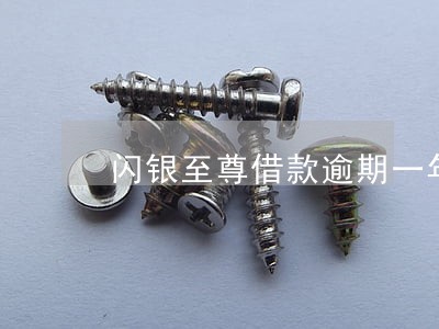 闪银至尊借款逾期一年 闪银至尊借款逾期一年