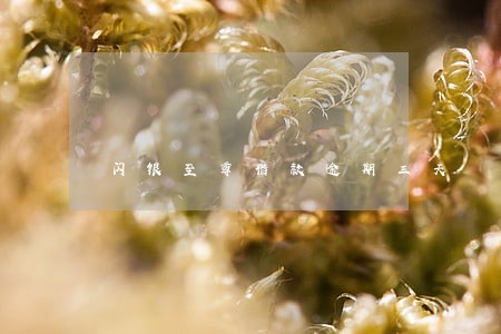 闪银至尊借款逾期三天 闪银至尊借款逾期三天