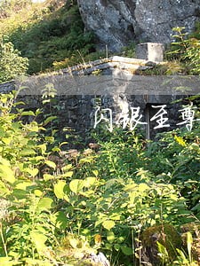 闪银至尊借款逾期了10天 闪银至尊借款逾期了10天