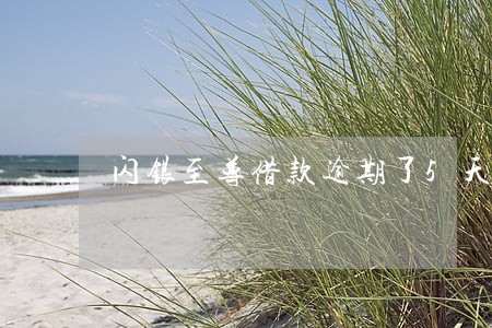 闪银至尊借款逾期了5天 闪银至尊借款逾期了5天