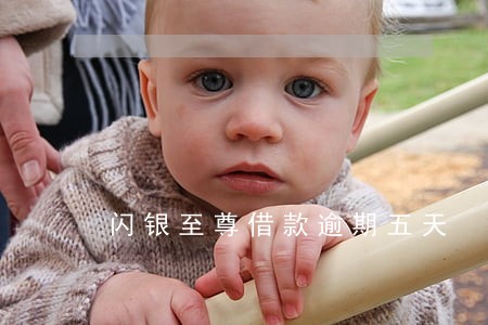 闪银至尊借款逾期五天