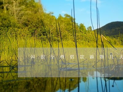 闪银至尊借款逾期几天打联系人 闪银至尊借款逾期几天打联系人