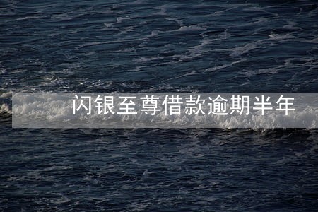 闪银至尊借款逾期半年 闪银至尊借款逾期半年
