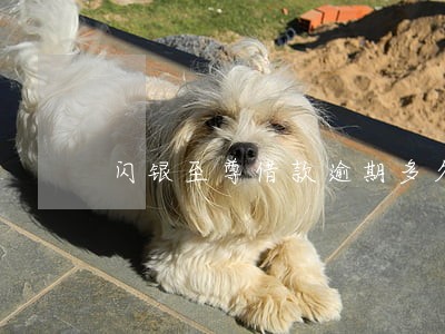 闪银至尊借款逾期多久打联系人 闪银至尊借款逾期多久打联系人
