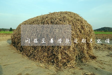 闪银至尊借款逾期怎么催收 闪银至尊借款逾期怎么催收