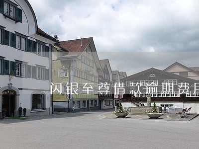 闪银至尊借款逾期费用太高 闪银至尊借款逾期费用太高