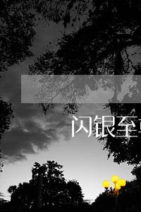闪银至尊凭证逾期不见了 闪银至尊凭证逾期不见了