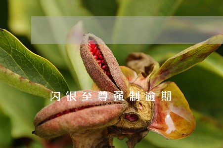 闪银至尊强制逾期 闪银至尊强制逾期