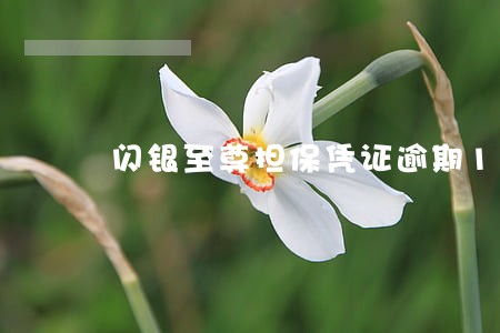 闪银至尊担保凭证逾期1天 闪银至尊担保凭证逾期1天