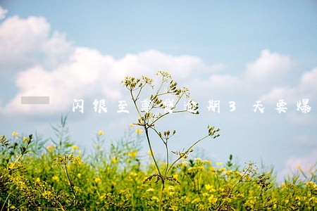 闪银至尊贷逾期3天要爆通讯录 闪银至尊贷逾期3天要爆通讯录