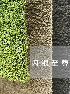 闪银至尊贷逾期了好久 闪银至尊贷逾期了好久