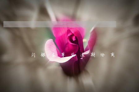 闪银至尊贷逾期协商 闪银至尊贷逾期协商
