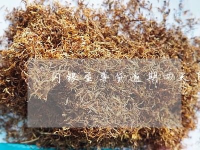 闪银至尊贷逾期四天怎么办 闪银至尊贷逾期四天怎么办