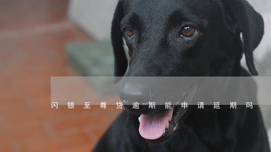 闪银至尊贷逾期能申请延期吗 闪银至尊贷逾期能申请延期吗
