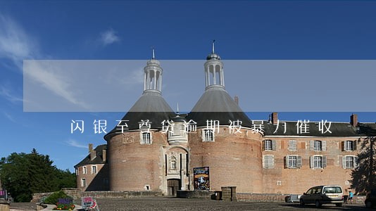 闪银至尊贷逾期被暴力催收 闪银至尊贷逾期被暴力催收