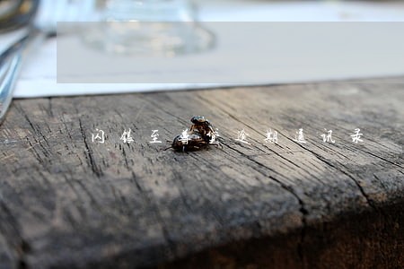 闪银至尊贷逾期通讯录 闪银至尊贷逾期通讯录