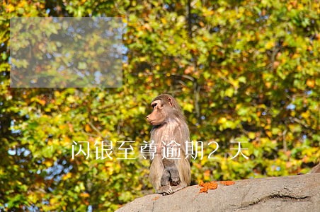 闪银至尊逾期2天 闪银至尊逾期2天