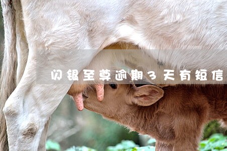 闪银至尊逾期3天有短信过来 闪银至尊逾期3天有短信过来