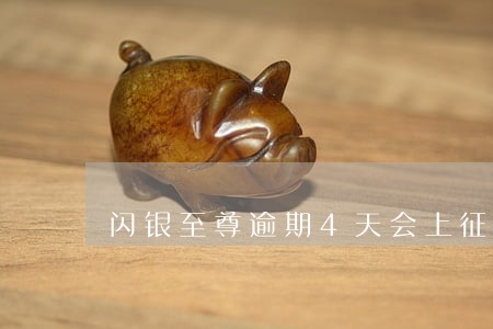 闪银至尊逾期4天会上征信吗