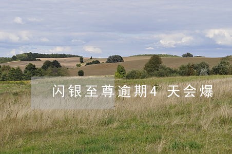闪银至尊逾期4天会爆 闪银至尊逾期4天会爆