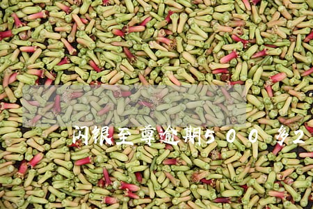 闪银至尊逾期500多20天 闪银至尊逾期500多20天