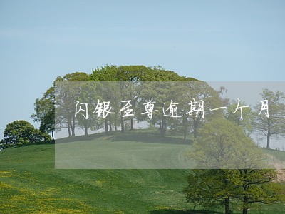 闪银至尊逾期一个月 闪银至尊逾期一个月