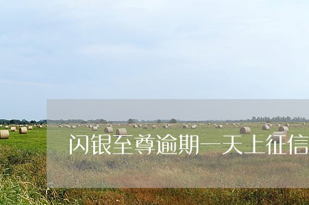 闪银至尊逾期一天上征信吗 闪银至尊逾期一天上征信吗