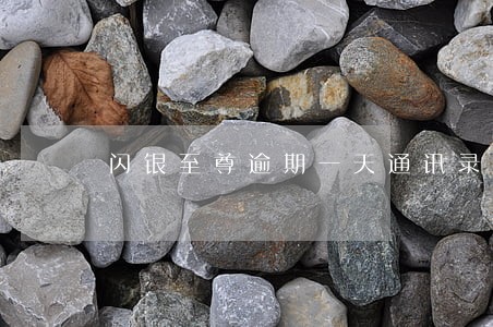 闪银至尊逾期一天通讯录 闪银至尊逾期一天通讯录