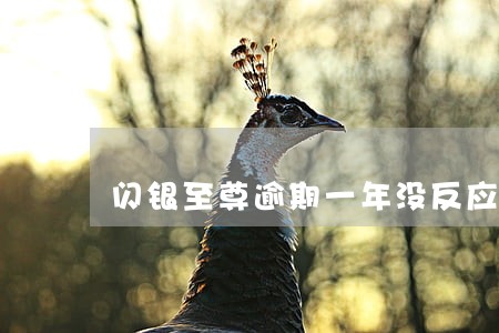 闪银至尊逾期一年没反应 闪银至尊逾期一年没反应