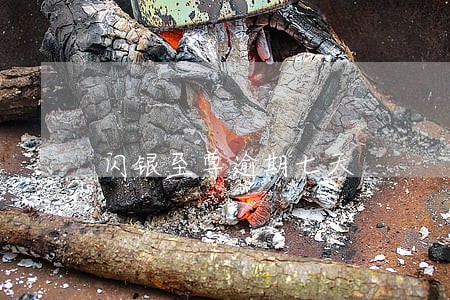 闪银至尊逾期七天 闪银至尊逾期七天