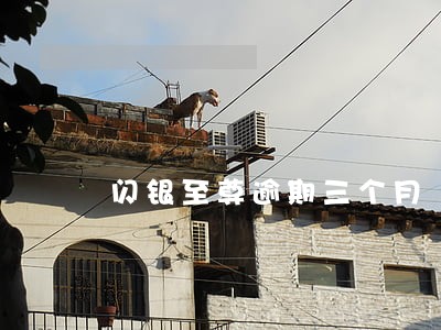 闪银至尊逾期三个月 闪银至尊逾期三个月