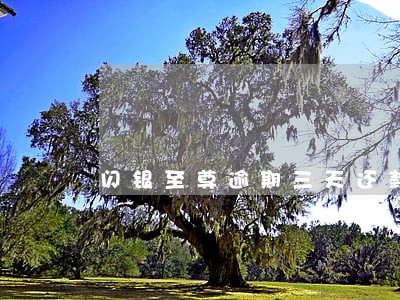 闪银至尊逾期三天还款 闪银至尊逾期三天还款