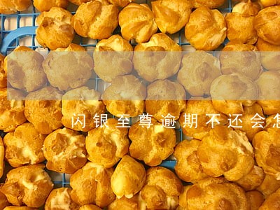 闪银至尊逾期不还会怎么样 闪银至尊逾期不还会怎么样