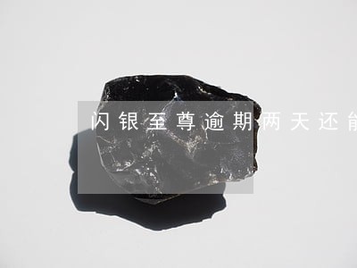 闪银至尊逾期两天还能用吗 闪银至尊逾期两天还能用吗