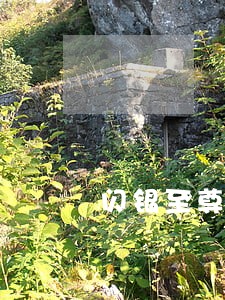 闪银至尊逾期了3天还放款吗 闪银至尊逾期了3天还放款吗