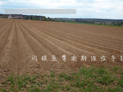 闪银至尊逾期催收手段 闪银至尊逾期催收手段