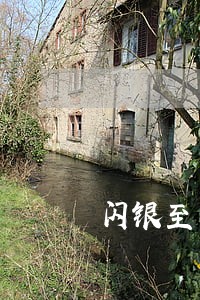 闪银至尊逾期减免 闪银至尊逾期减免