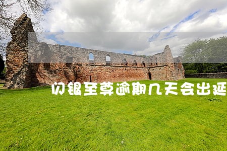 闪银至尊逾期几天会出延期 闪银至尊逾期几天会出延期